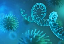 COVID-19 Variant of Concern has been found in England COVID-19 variant of concern has been found in England