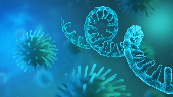 © iStock-CROCOTHERY COVID-19 variant of concern has been found in England