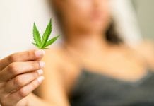 Medical cannabis for endometriosis pain management