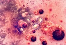 Single cell sequencing technology could find drugs that eradicate cancer Single cell sequencing technology could find drugs that eradicate cancer