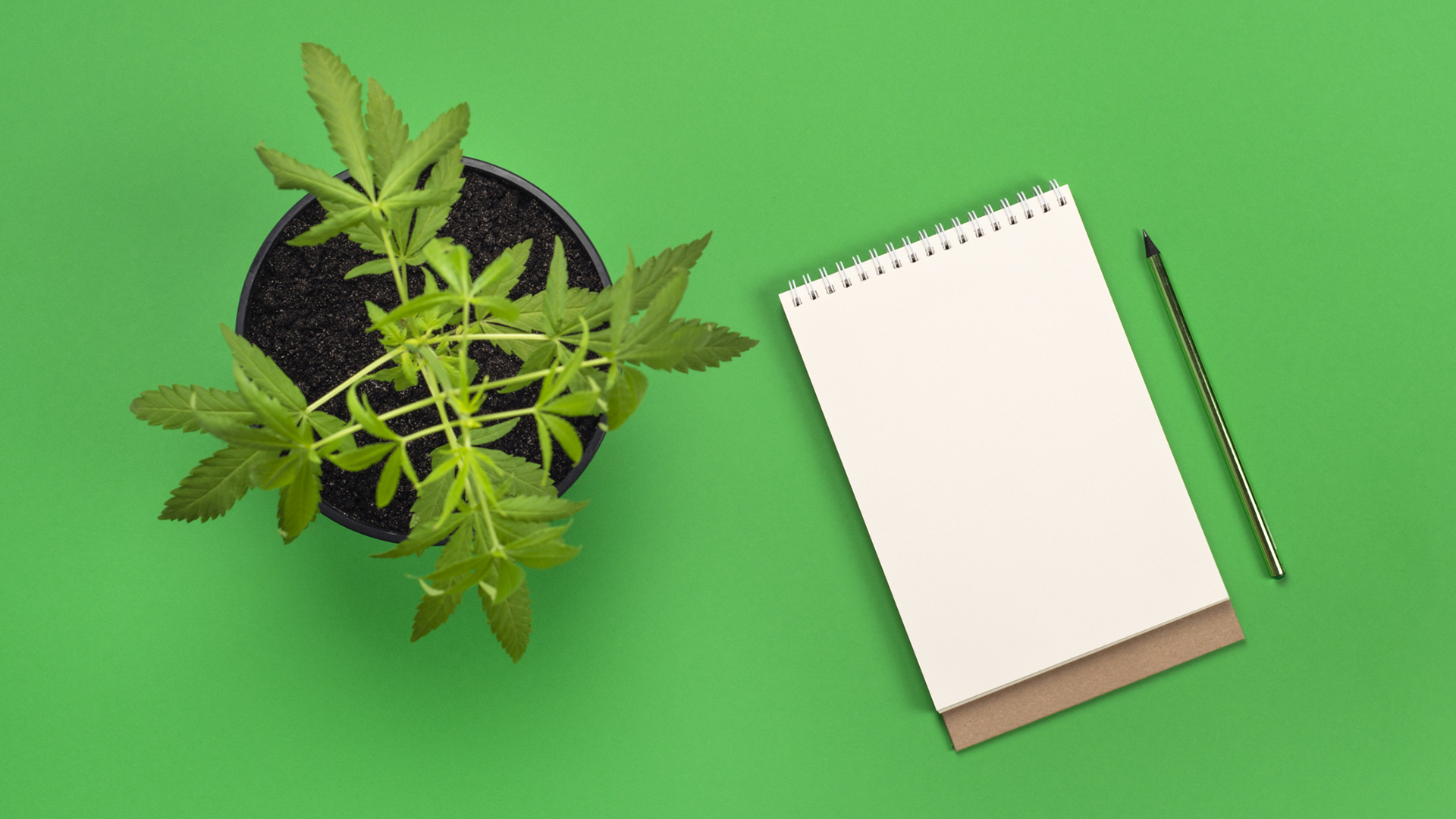 CanaQuest medical cannabis education partnership with Canadian centre