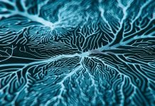 Preventing COVID-19 infection of the nervous system Preventing COVID-19 infection of the nervous system