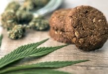 Manufacturing quality cannabis infused products with PURE5