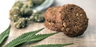 Manufacturing quality cannabis infused products with PURE5
