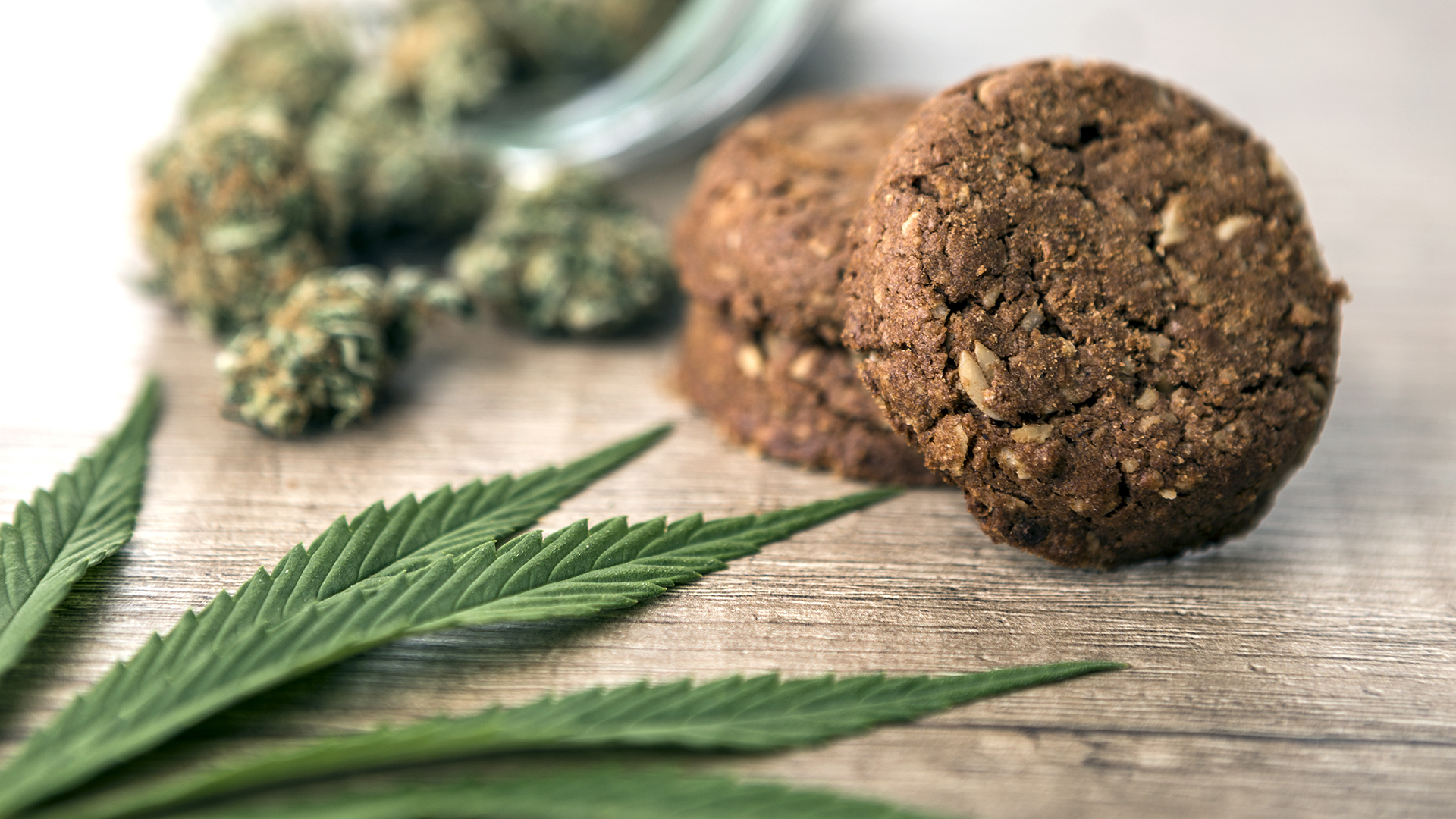 Manufacturing quality cannabis infused products with PURE5