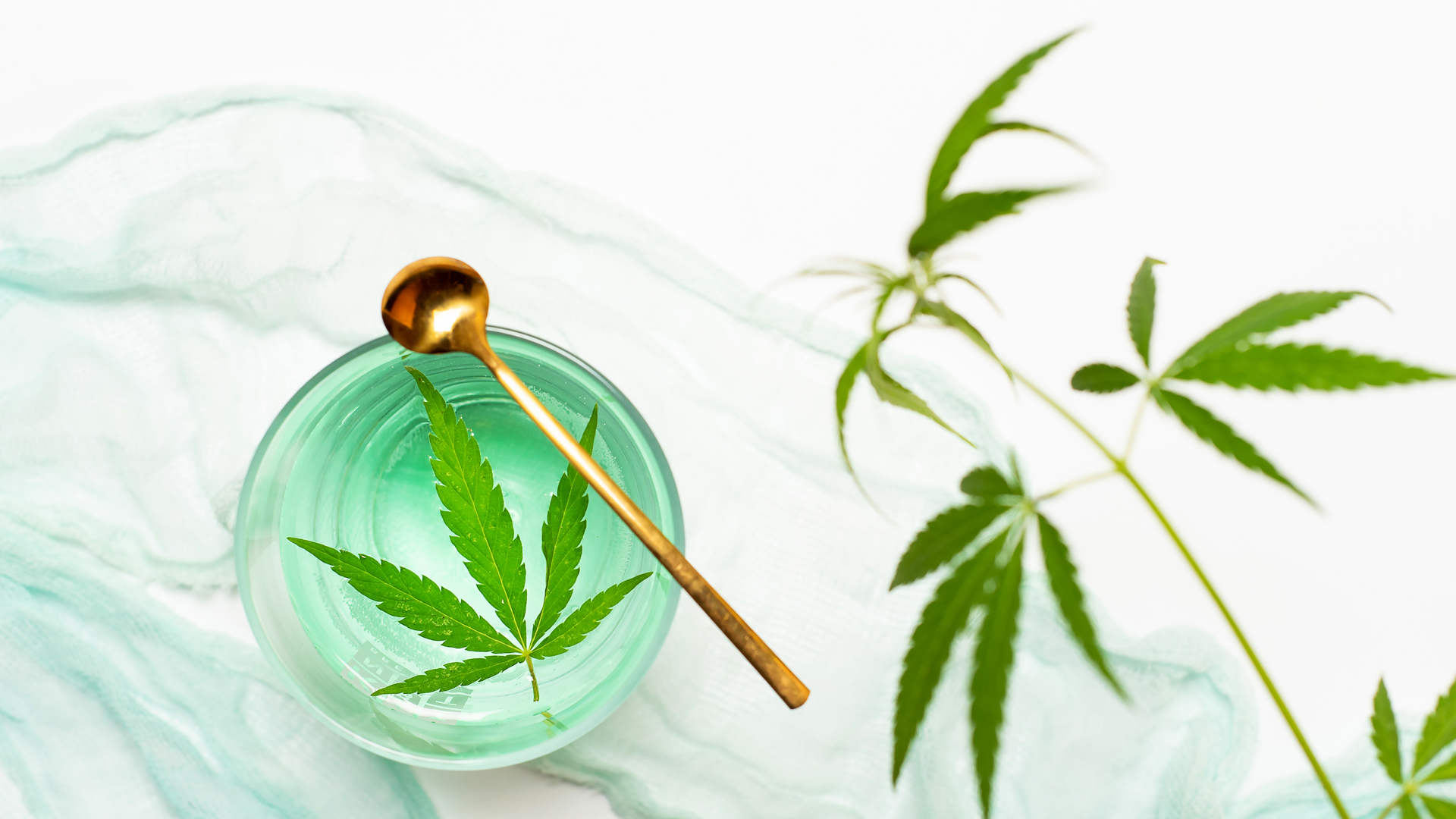 Changing European hemp policy