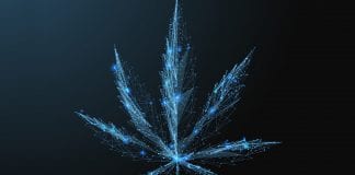 personalised cannabis medicine