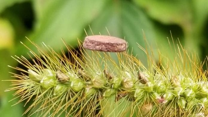 Copper foam could be used as microbe filter in facemasks and air cleaners