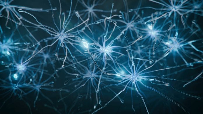 © iStock-koto_feja balance neurological health