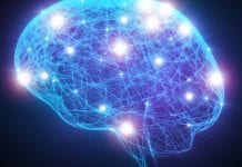 Memory disorders may be influenced by a shared set of brain systems brain systems