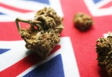 Groundbreaking paper sets out recommendations for UK cannabis industry