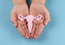 Promise for ovarian cancer treatment from plant-derived drug Promise for ovarian cancer treatment from plant-derived drug