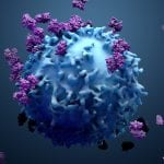 AI model helps researchers understand immune system defence