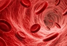 Evaluation shows no cases of clotting from COVID-19 vaccines in Wales Evaluation shows no cases of clotting from COVID-19 vaccines in Wales