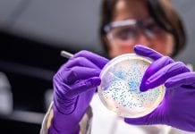New antimicrobial nanotech could prevent and treat superbugs    