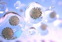 Bigger risk of contracting COVID-19 indoors with high carbon dioxide levels Bigger risk of contracting COVID-19 indoors with high carbon dioxide levels