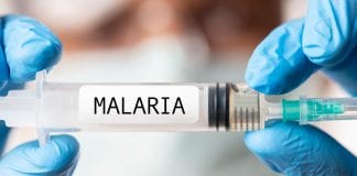 malaria vaccine