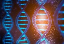 Groundbreaking genome study of depression reveals genetic risk factors Groundbreaking genome study of depression reveals genetic risk factors