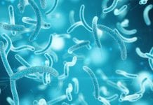 Glowing molecule could help the fight against antibiotic resistance Glowing molecule could help the fight against antibiotic resistance