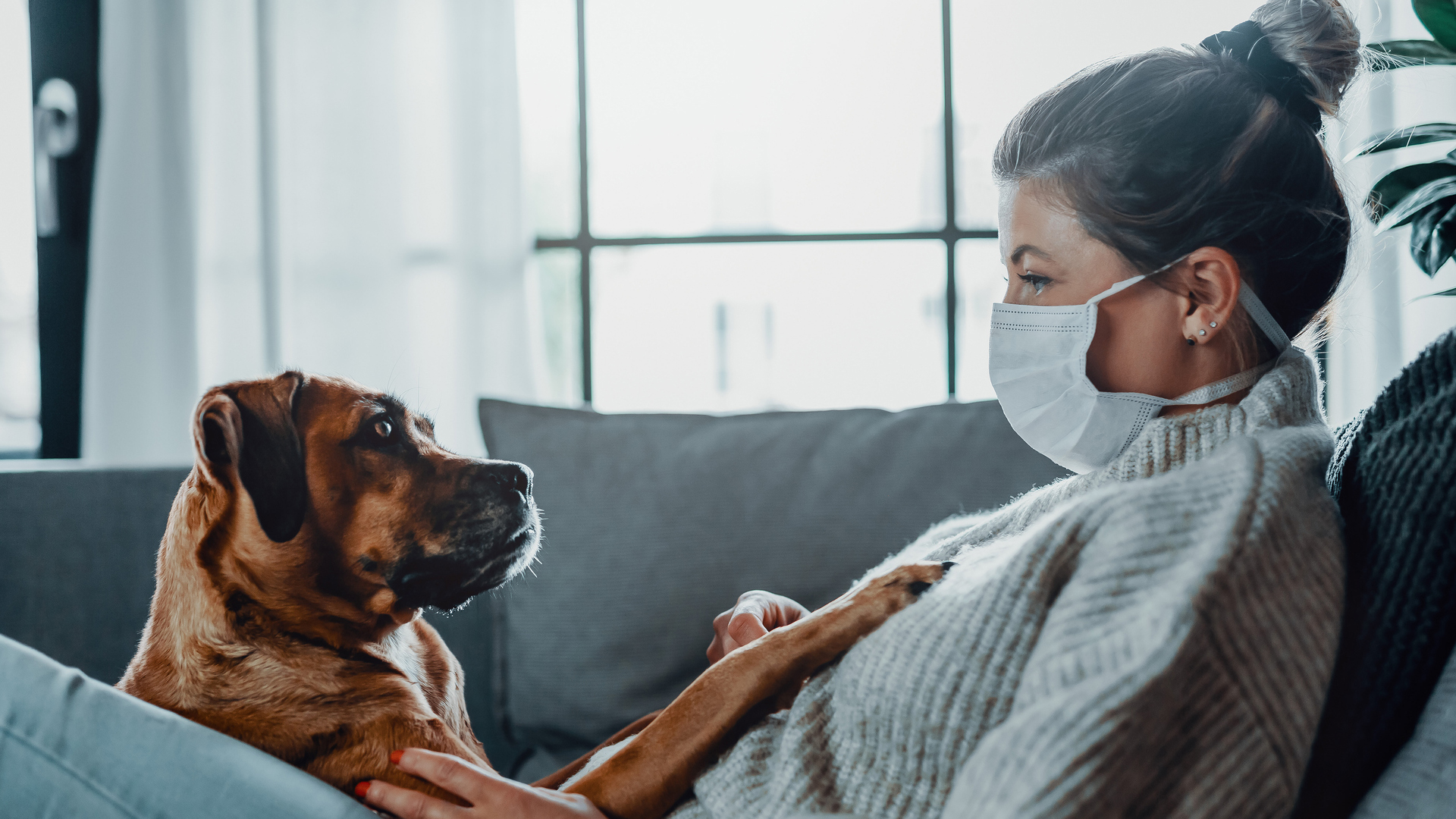 Possible dog-to-human transmission of new coronavirus