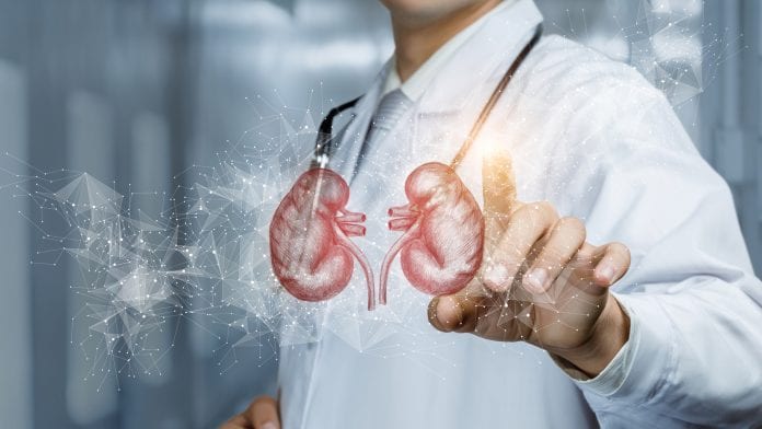 Using AI to determine kidney disease damage