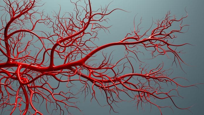 Project investigating COVID-19 blood vessel inflammation receives grant