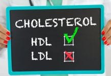 LDL cholesterol levels increased by newly discovered cell mechanism LDL cholesterol levels