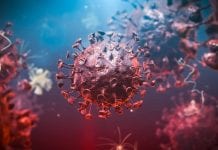 Confirmation of strong link between hormones and COVID-19 Confirmation of strong link between hormones and COVID-19