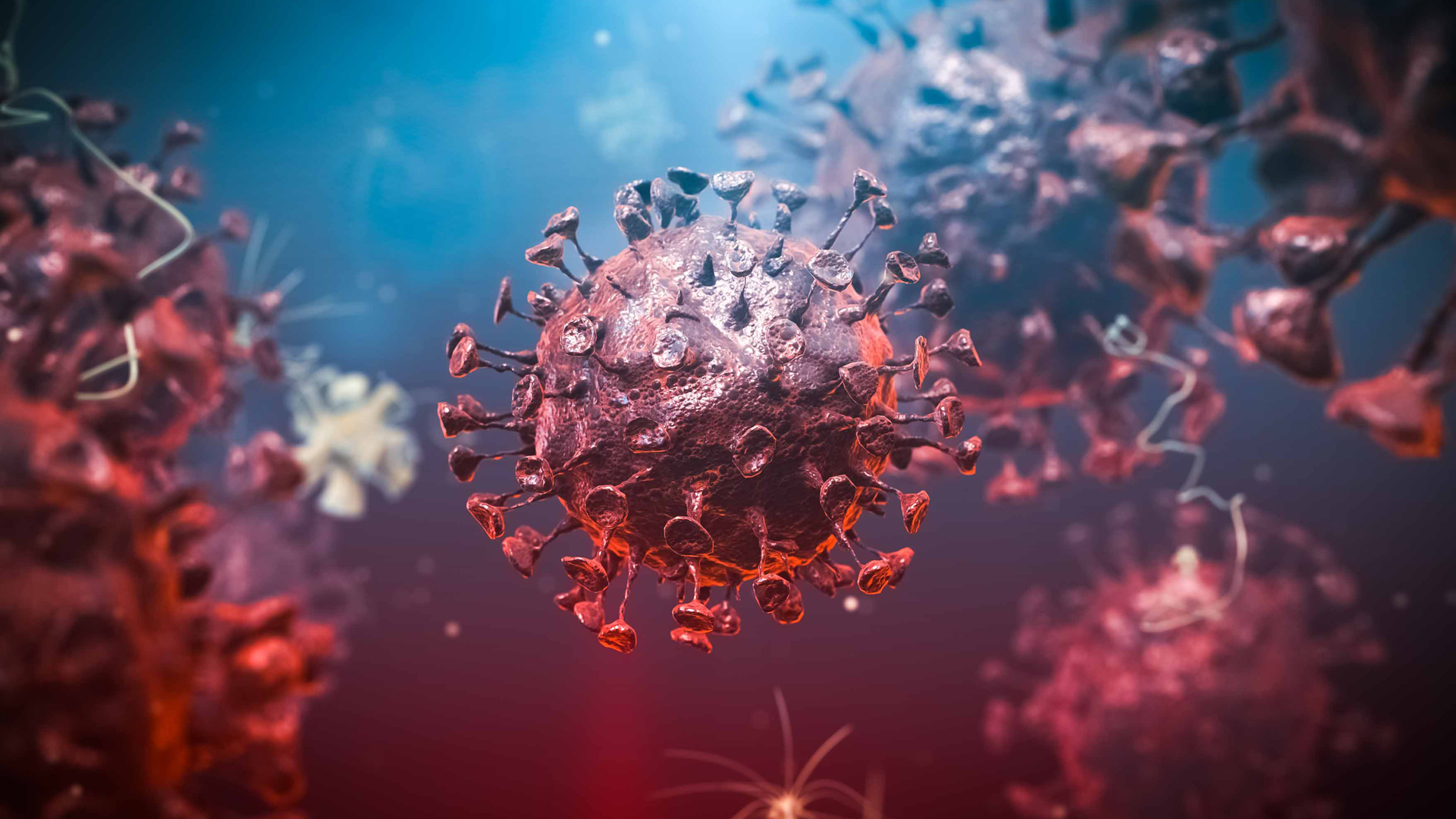 Confirmation of strong link between hormones and COVID-19