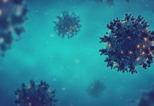 SARS-CoV-2 research unlocks new potential COVID-19 treatments SARS-CoV-2