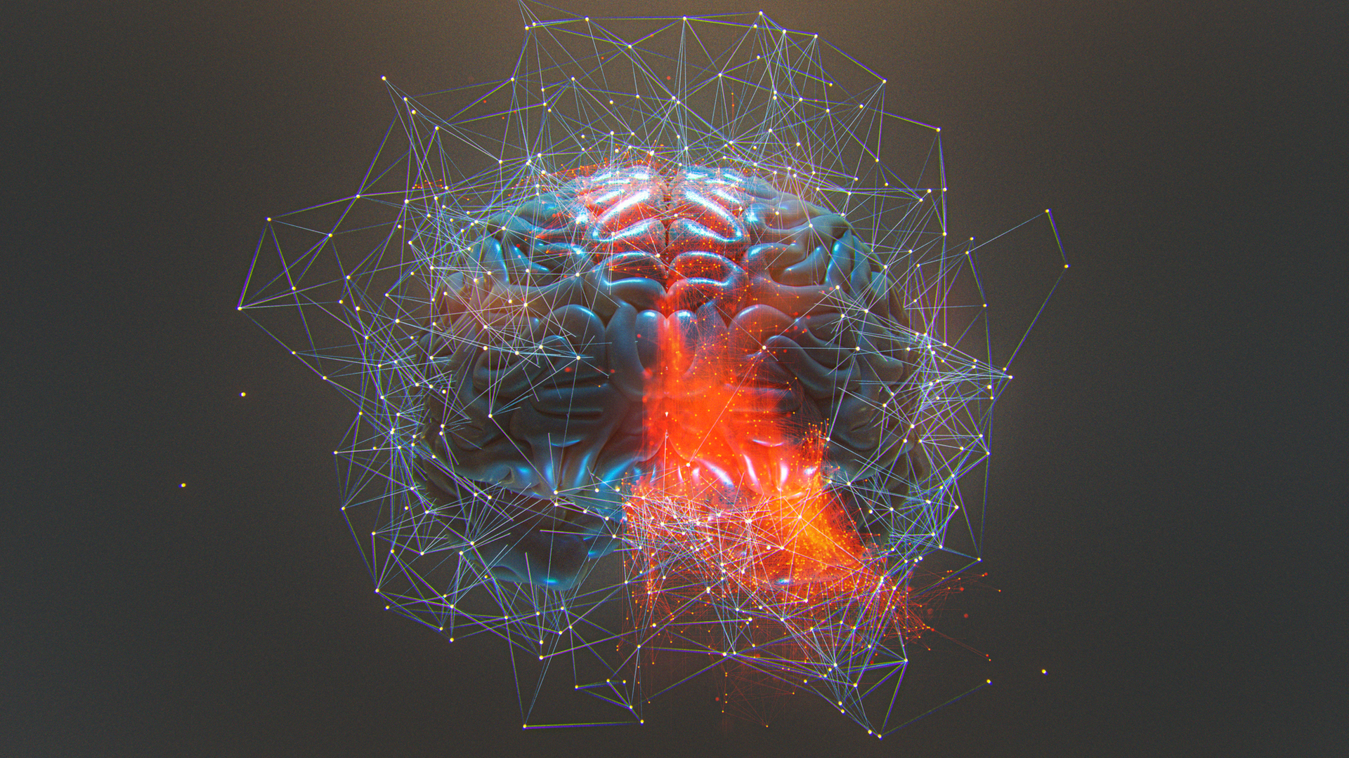 Neuron discovery could contribute to improved epilepsy treatment