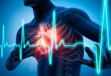 Novel probe invention provides early cardiovascular disease detection cardiovascular disease