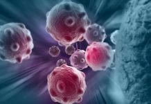 New technology eliminates tumours and could deliver COVID-19 therapies New technology eliminates tumours and could deliver COVID-19 therapies