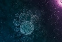 Towards a cancer revolution with new targeted therapeutics Towards a cancer revolution with new targeted therapeutics