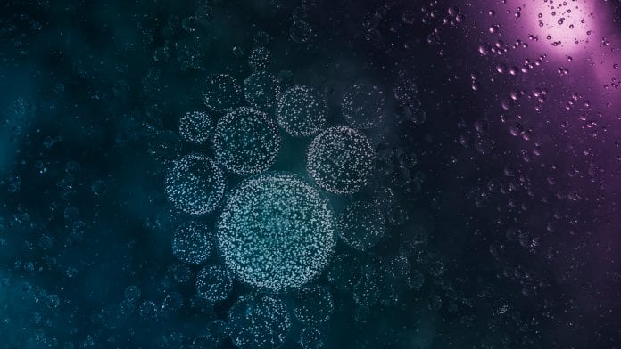 DEFENCE1 27731 SR image Towards a cancer revolution with new targeted therapeutics