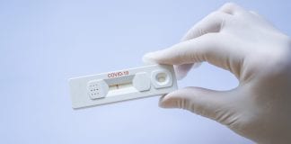 XPhyto therapeutics supplies Berlin test centres with PCR tests