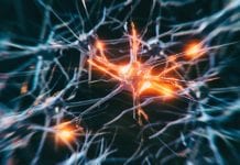 Chronic stress may contribute to Alzheimer’s disease development