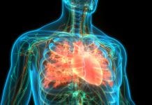 Charity pledges £500,000 for research into COVID-19 and heart conditions heart-conditions