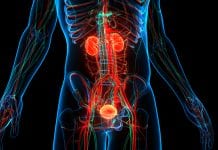 Blood test could help improve post-surgery bladder cancer treatment bladder-cancer