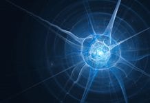 A step closer to therapeutic interventions for Huntington’s disease Huntington's Disease