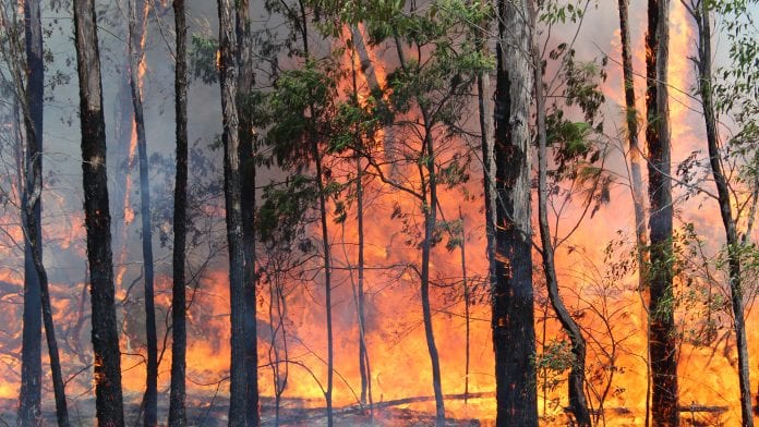 heat-related-deaths-global-warming