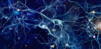 New research could help to reverse Alzheimer’s disease