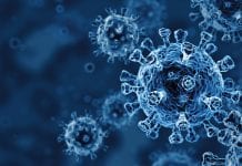 Prior COVID-19 infection reduces reinfection risk for up to 10 months covid-reinfection