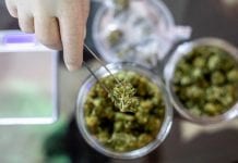 Cannabis research in Meir Hospital: Realistic innovation Cannabis research in Meir Hospital: Realistic innovation