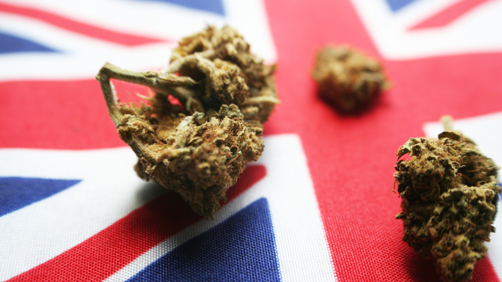 New council body launched to demand robust UK cannabis industry