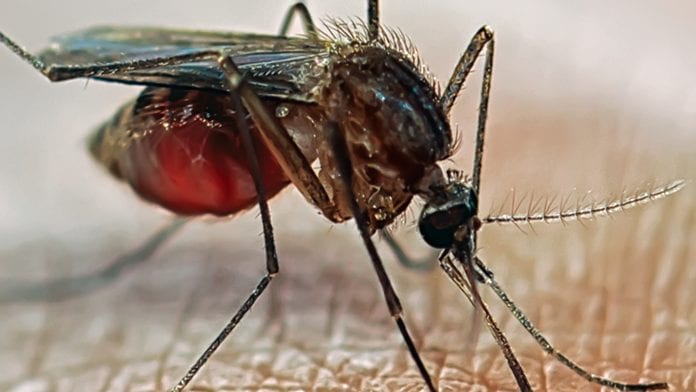 infection-control-malaria