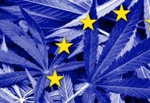 Association for the Cannabinoid Industry to expand EU Offering