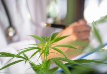 Taskforce proposes UK cannabinoid regulation changes