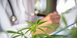 Taskforce proposes UK cannabinoid regulation changes