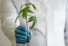 Researching cannabis-based drugs for COVID and glyblactoma multiforma